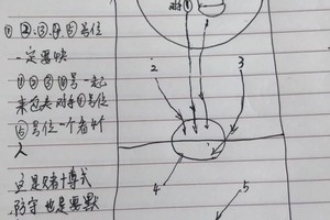  初学者篮球战术训练资料哪里找？全面指南与经验分享